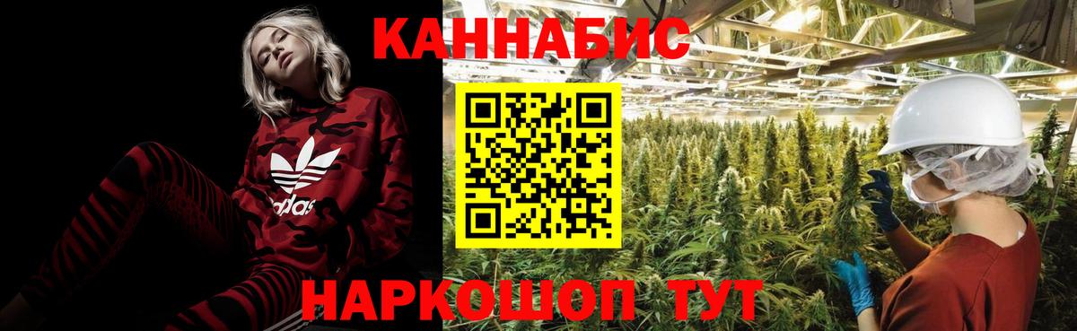 Бошки Шишки сатива  Вход с VPN  Шишки марихуана Amnesia  Бошки марихуана SATIVA & INDICA  Куйбышев  МАРИХУАНА ГИДРОПОН 